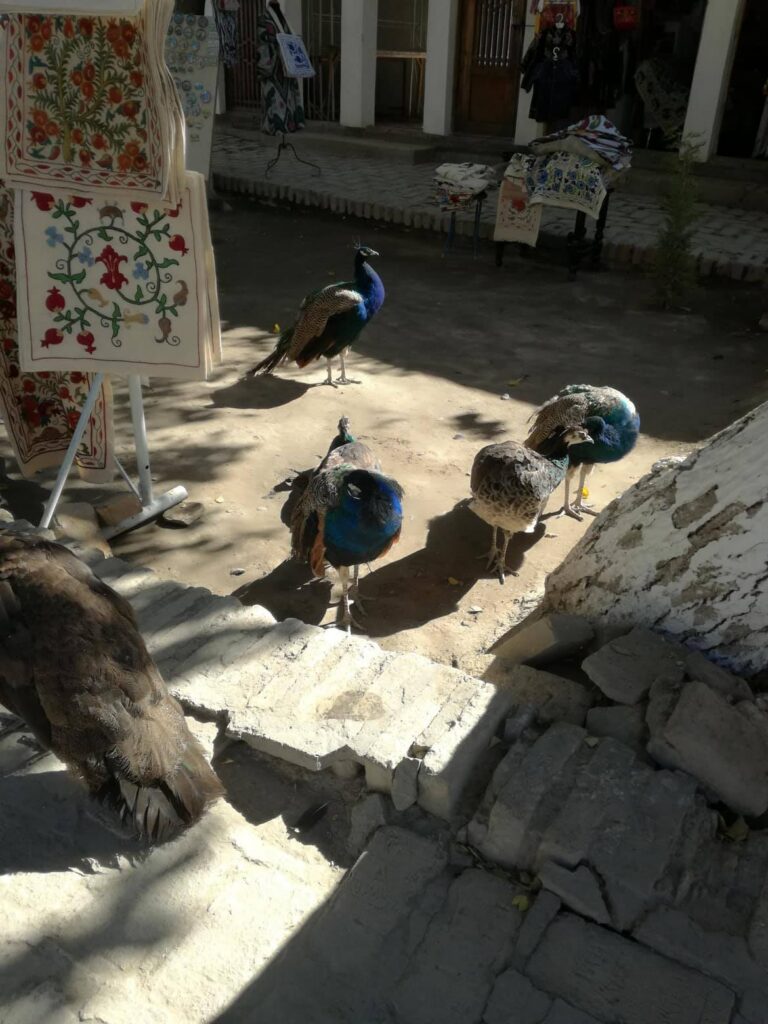 Uzbekistan – tisíc a jeden zážitkov