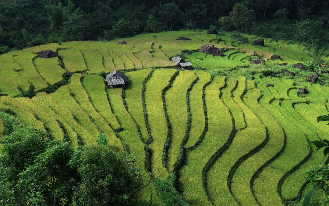 Vietnam – kaskáda dobrodružstiev