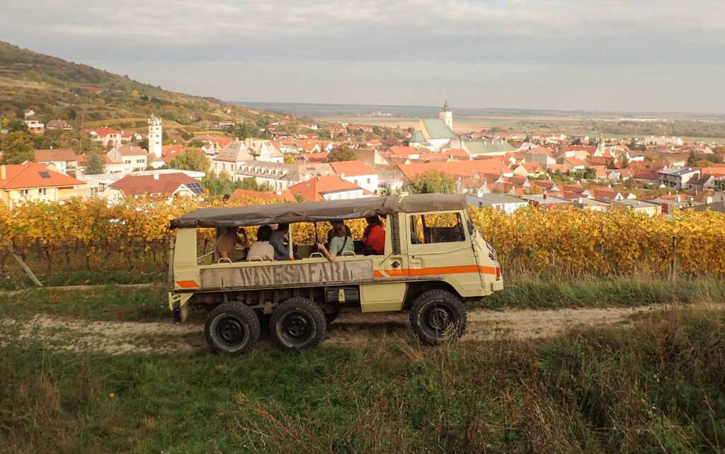 Wine safari