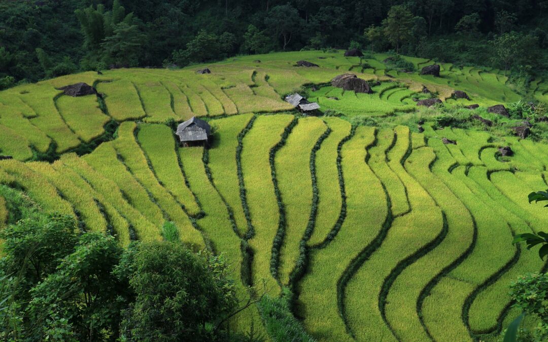 Kedy cestovať do Vietnamu? Kompletný sprievodca počasím počas roka