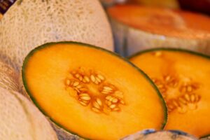 Uzbekistan melon